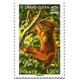 France - Service 170