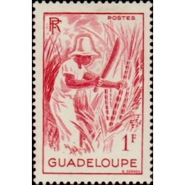 Guadeloupe - 201