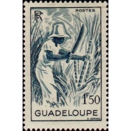 Guadeloupe - 202