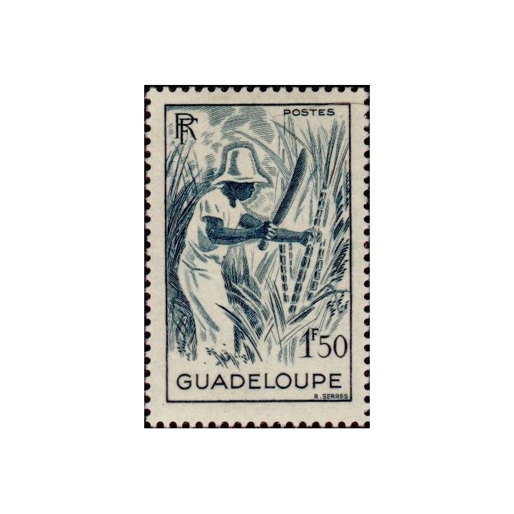 Guadeloupe - 202