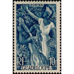 Guadeloupe - 209