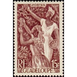 Guadeloupe - 210
