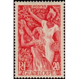 Guadeloupe - 211