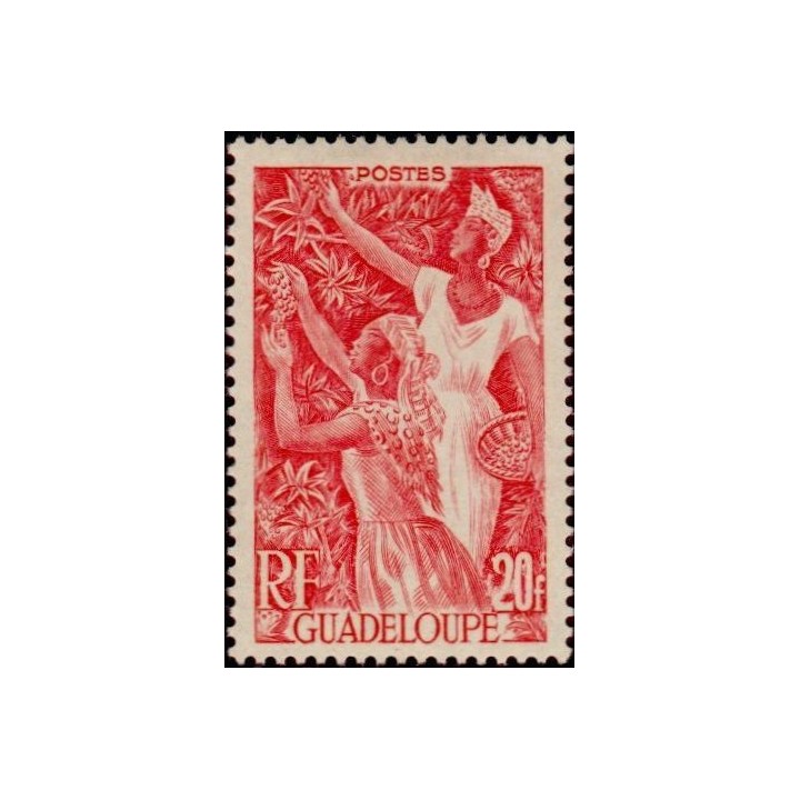Guadeloupe - 211