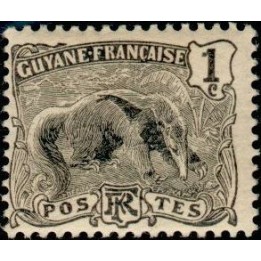 Guyane - 049