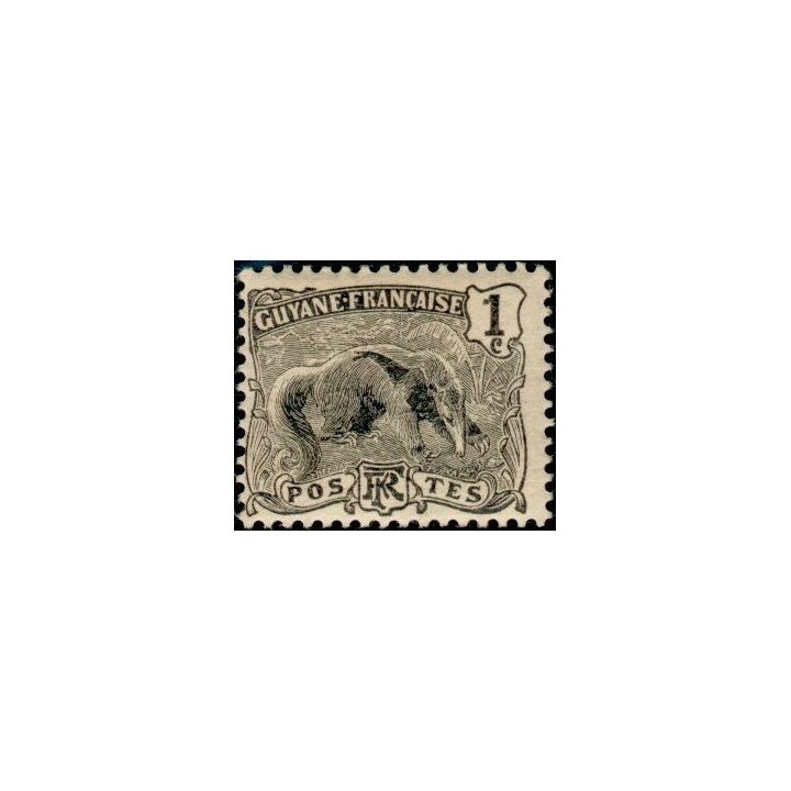 Guyane - 049