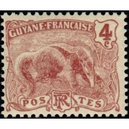 Guyane - 051