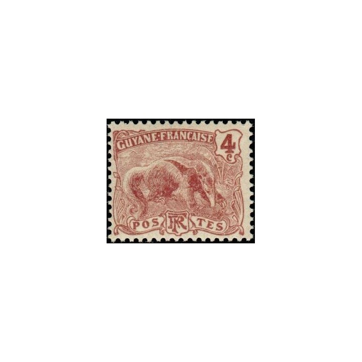 Guyane - 051