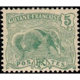 Guyane - 052