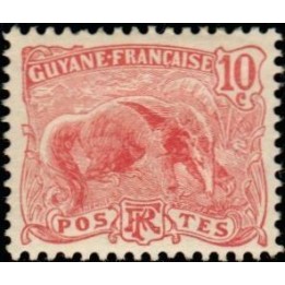 Guyane - 053