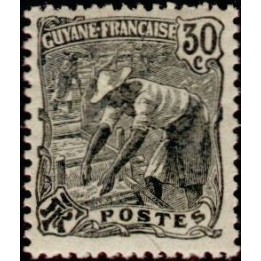 Guyane - 057