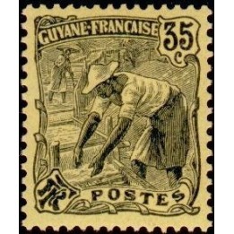 Guyane - 058