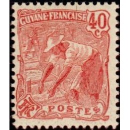 Guyane - 059
