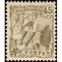 Guyane - 060