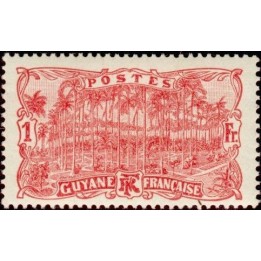 Guyane - 063