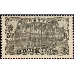 Guyane - 065