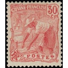Guyane - 079