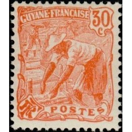 Guyane - 080