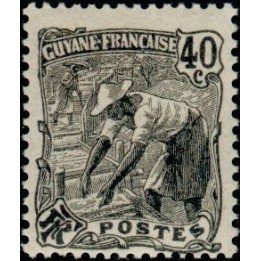 Guyane - 081