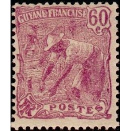 Guyane - 084