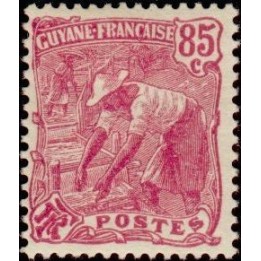 Guyane - 086