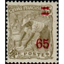 Guyane - 099