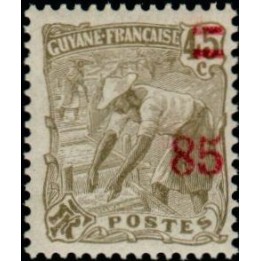 Guyane - 100