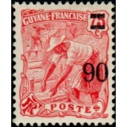 Guyane - 101