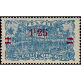 Guyane - 103