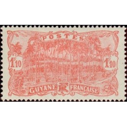Guyane - 108