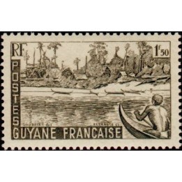 Guyane - 206