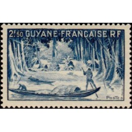 Guyane - 208