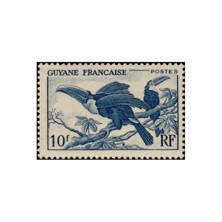 Guyane - 213