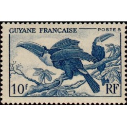 Guyane - 213
