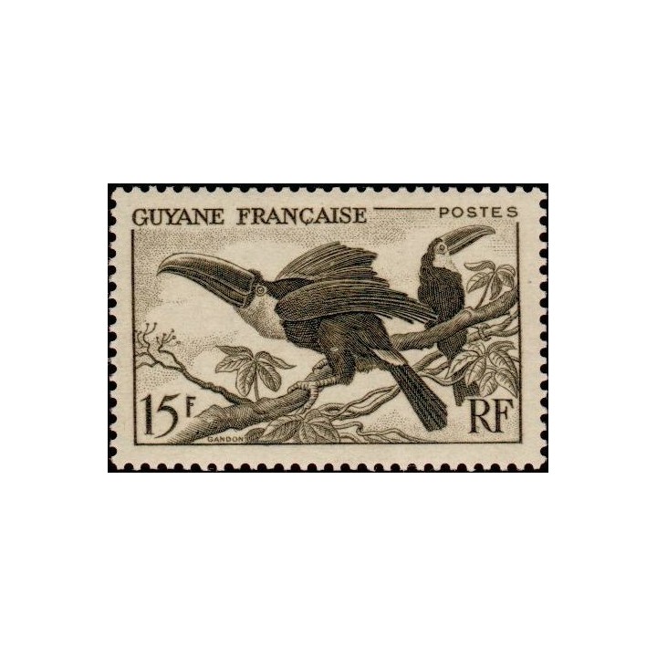 Guyane - 214