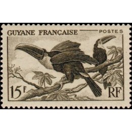 Guyane - 214