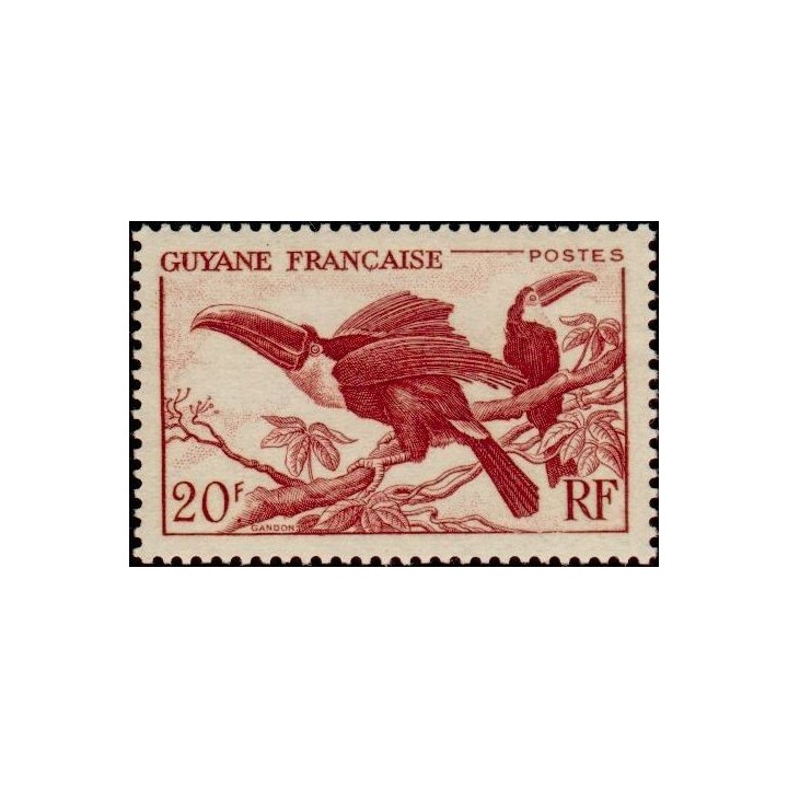 Guyane - 215