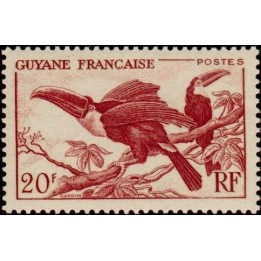 Guyane - 215