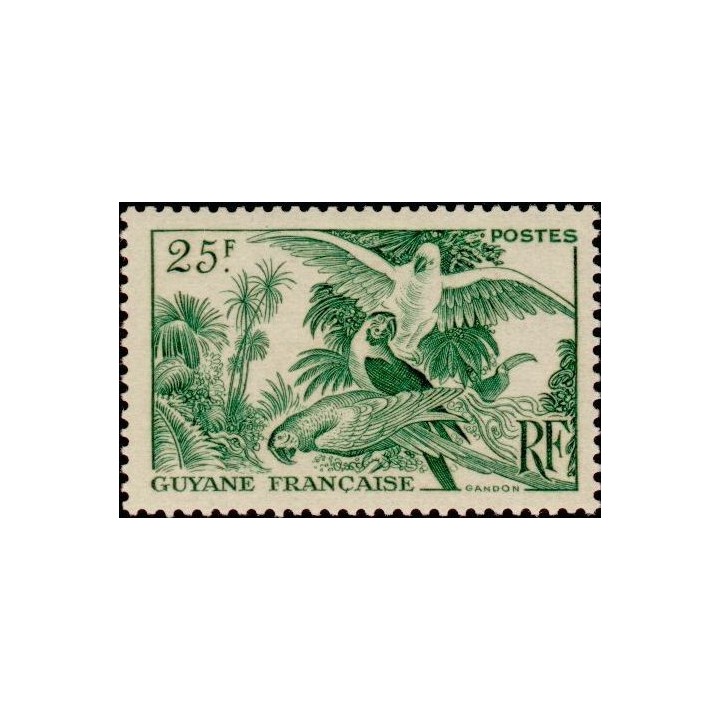 Guyane - 216
