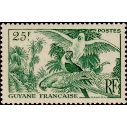 Guyane - 216
