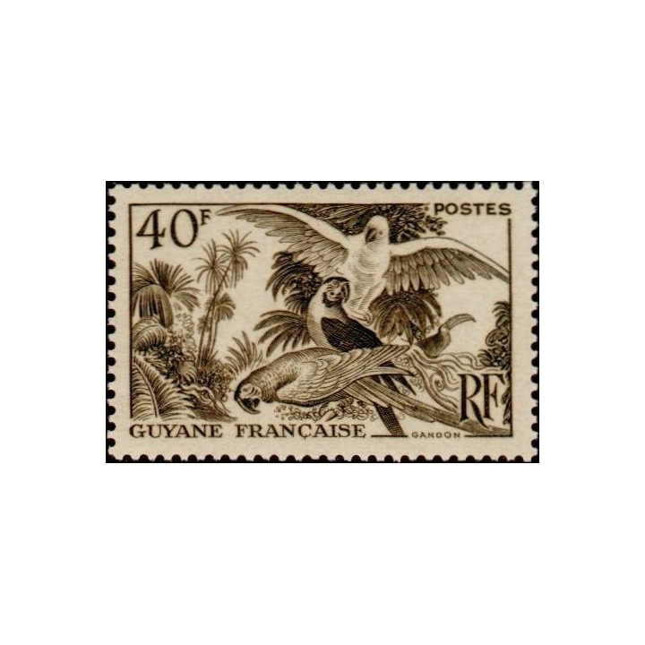 Guyane - 217