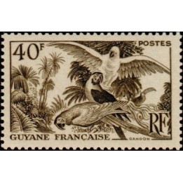 Guyane - 217