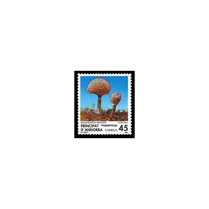 Andorre Espagnol - 213