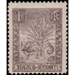 Madagascar - 063