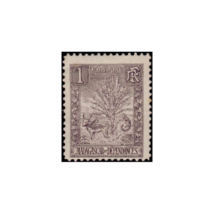 Madagascar - 063