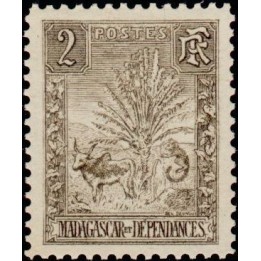 Madagascar - 064