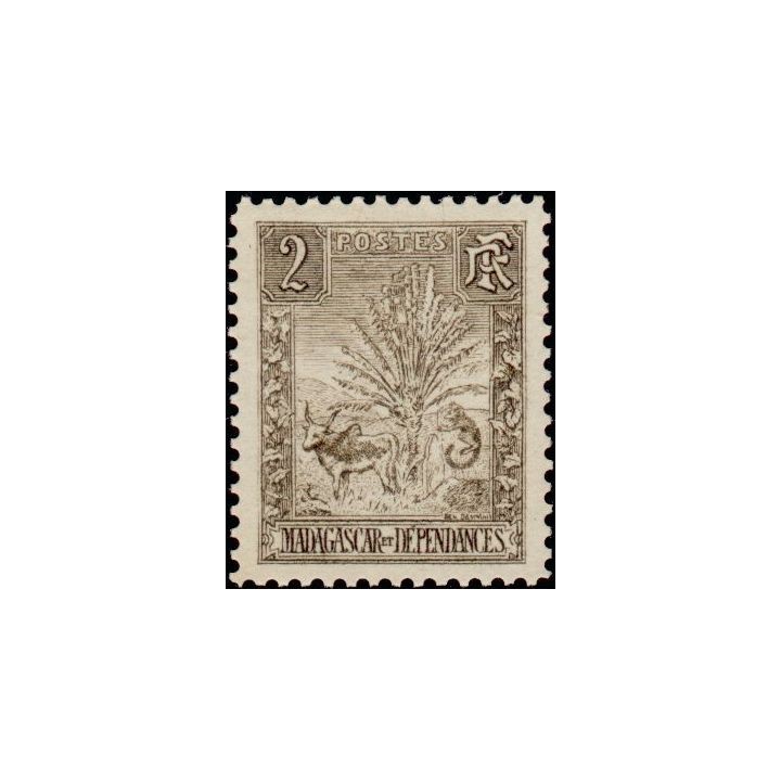 Madagascar - 064