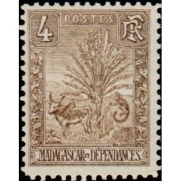 Madagascar - 065