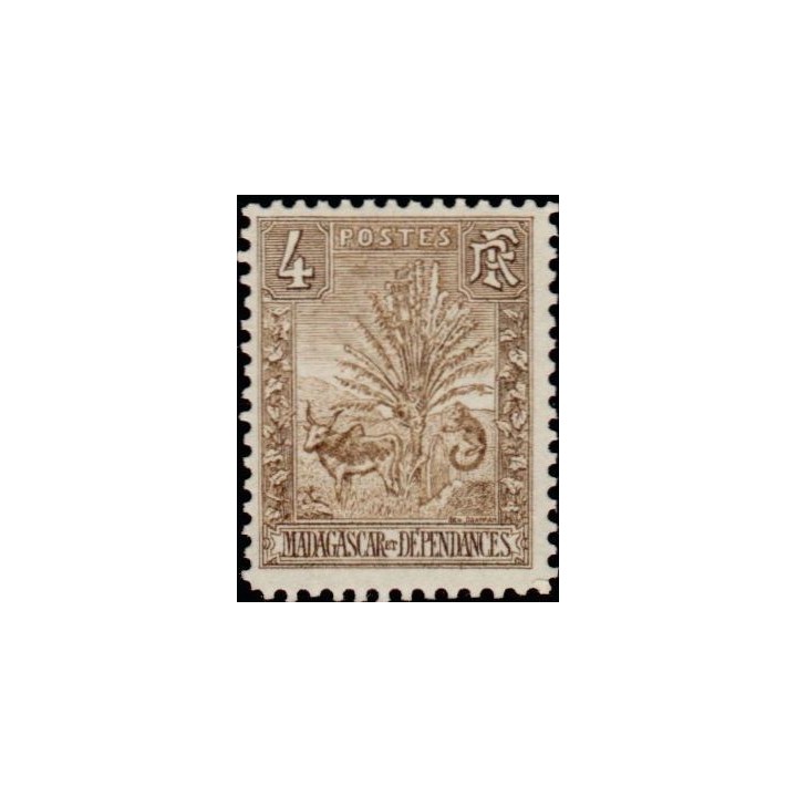Madagascar - 065