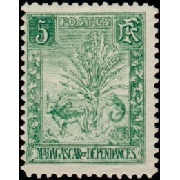 Madagascar - 066